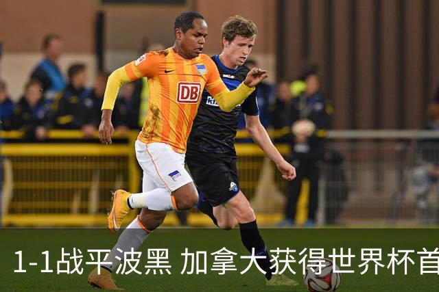 1-1战平波黑 加拿大获得世界杯首个积分
